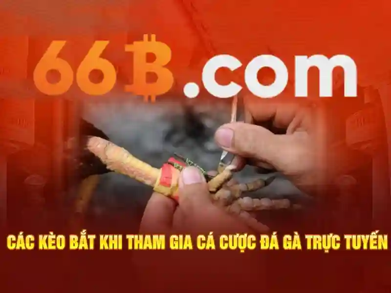 app 66b download – hướng dẫn chi tiết và trải nghiệm người dùng