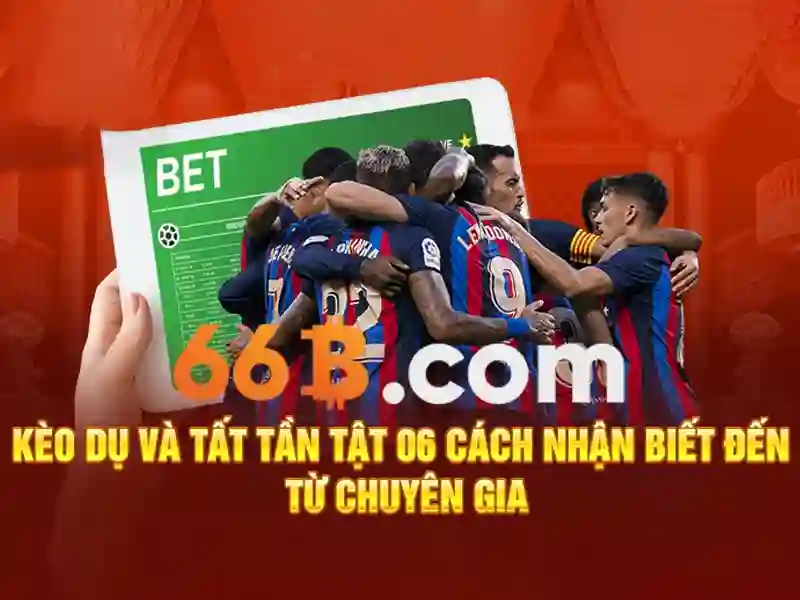 66b là gì và những ứng dụng tiềm năng