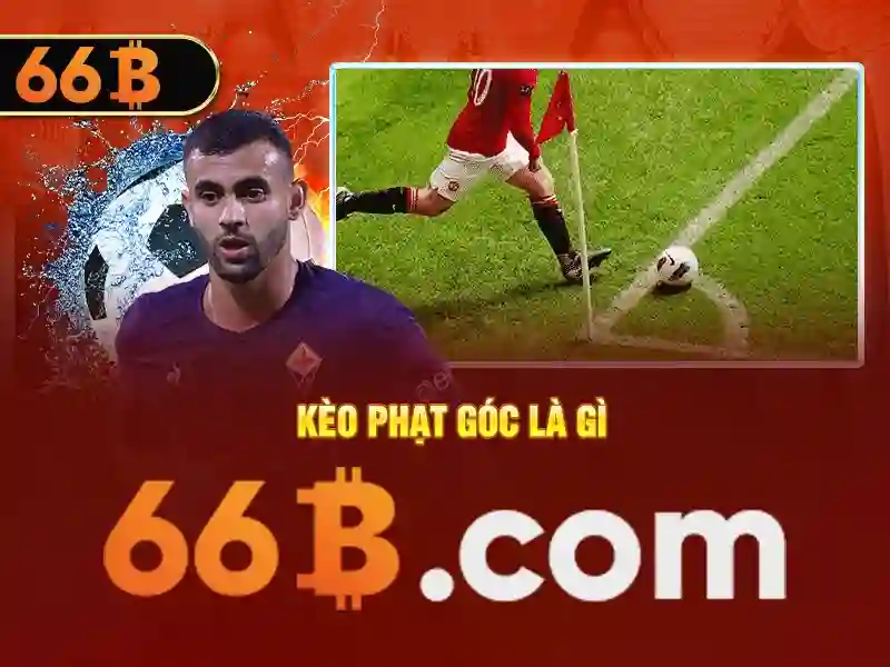 trang web 66b có thật không: câu trả lời chân thực và phân tích sâu sắc