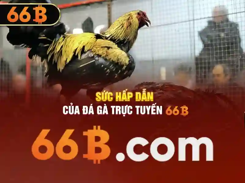 slot 66b – nguồn gốc và sứ mệnh