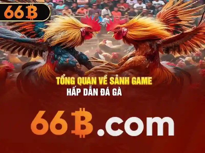 trang web 66b có thật không – Khám phá sự thật và trải nghiệm người dùng