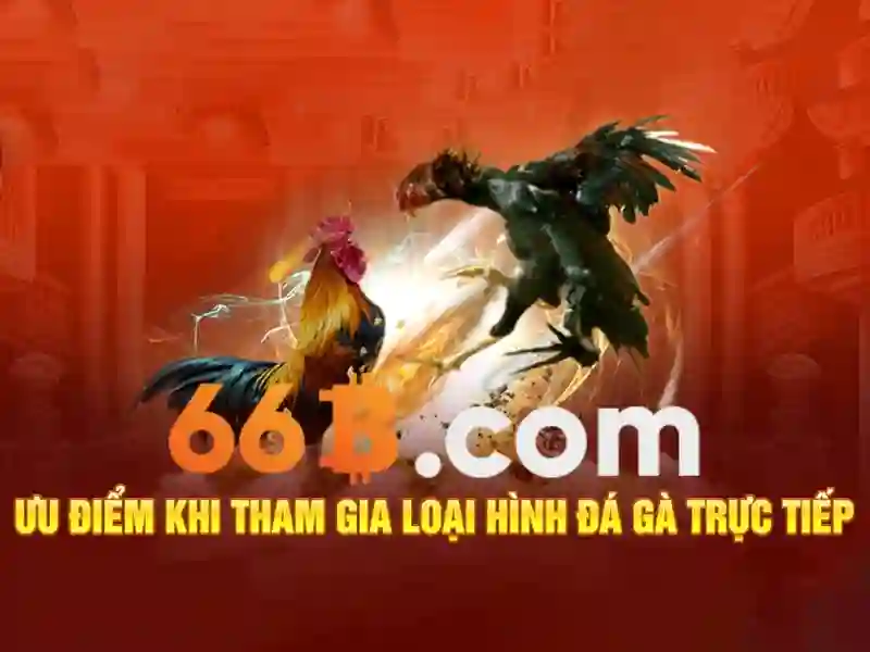 66b: Mô hình ngôn ngữ quy mô lớn và tiềm năng ứng dụng
