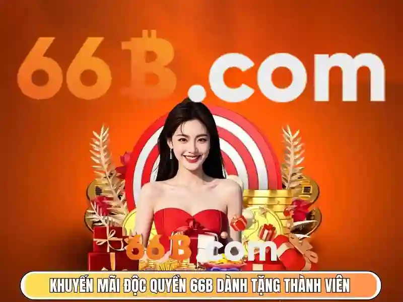 66b chính thức – Tương lai và tầm nhìn