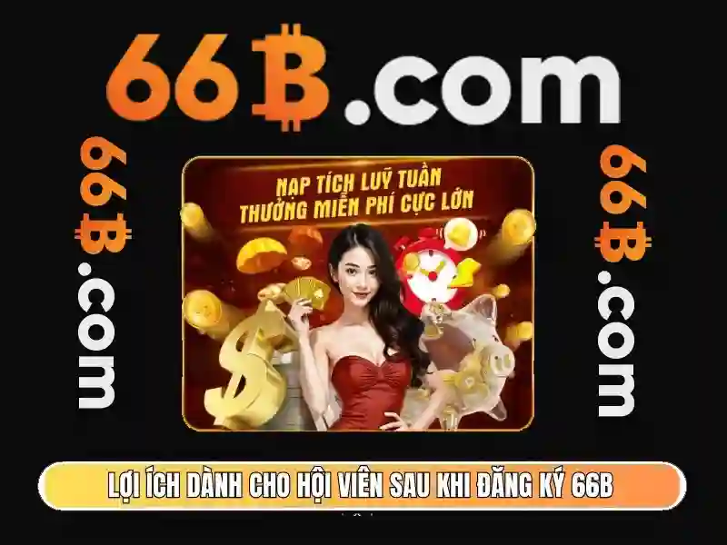 66b nguyễn sỹ sách là gì – Tổng quan chủ đề và giá trị cốt lõi