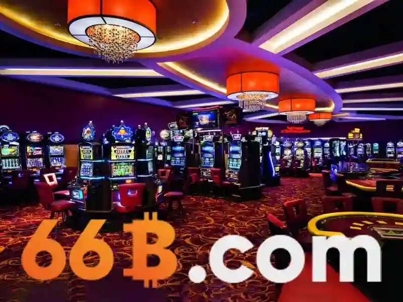 Trải nghiệm người dùng và phản hồi từ cộng đồng