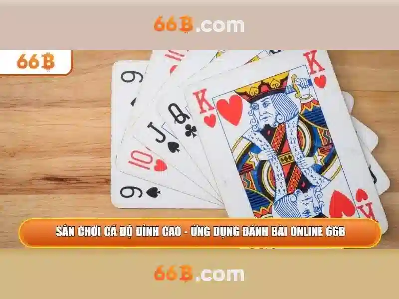 stevens 66b: tổng quan, sản phẩm và trải nghiệm