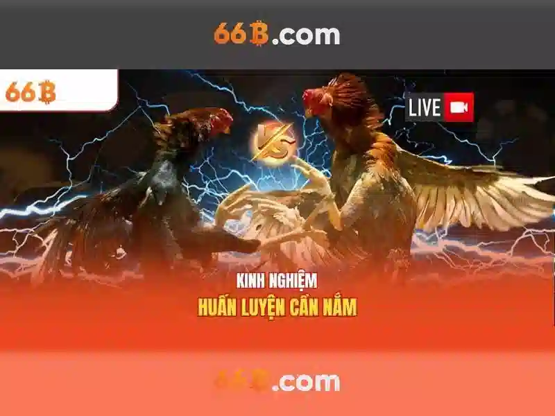 66B: Mô hình ngôn ngữ lớn và những tiềm năng