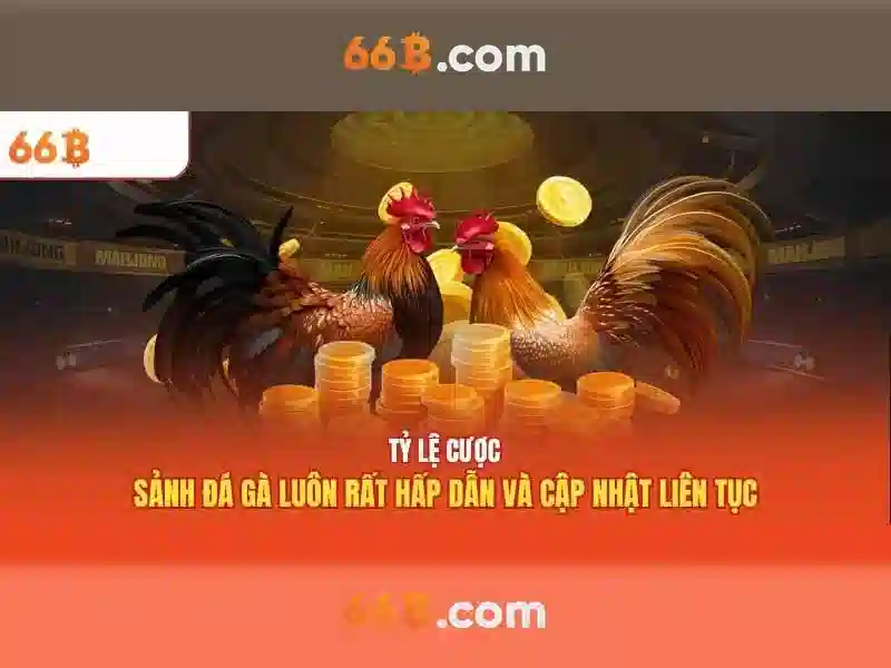 Kiến trúc và khả năng tính toán