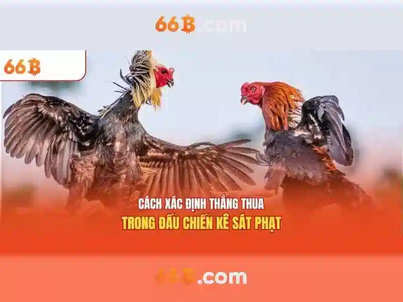 66B: Mô hình ngôn ngữ lớn 66 tỷ tham số và tác động của nó