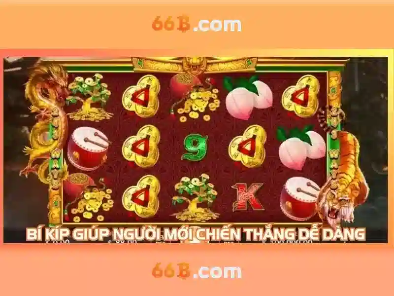 66b là một khái niệm và ứng dụng