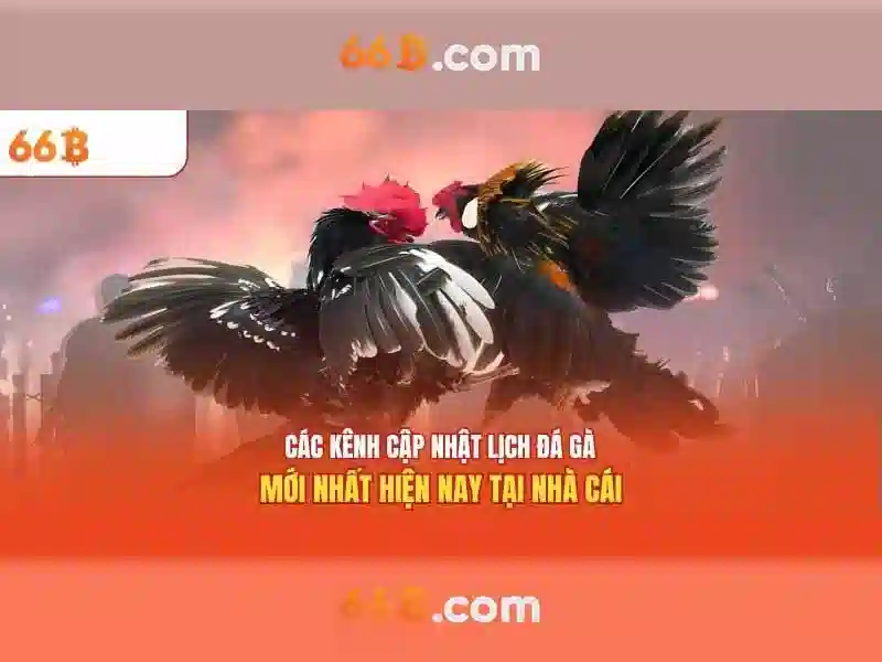 66B: Khám phá một mô hình ngôn ngữ khổng lồ 66 tỷ tham số