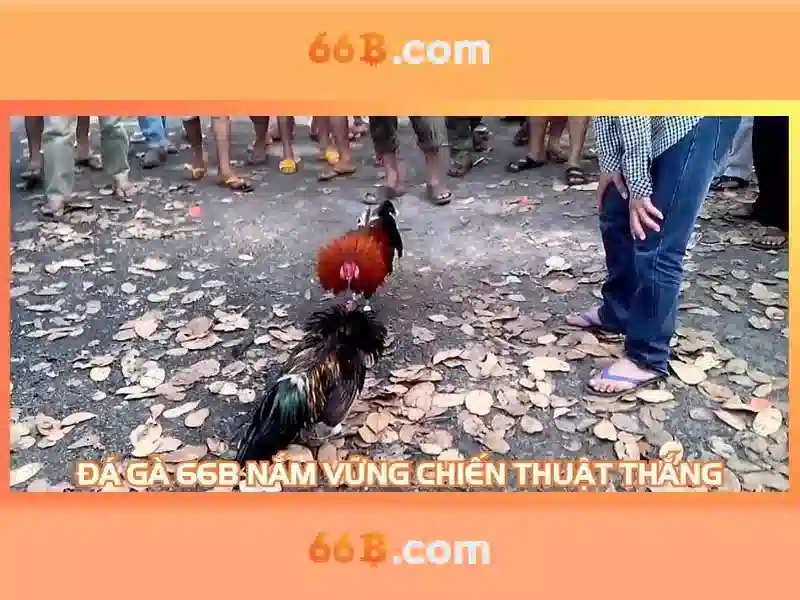 Khám phá 66b: một mô hình ngôn ngữ tiên tiến