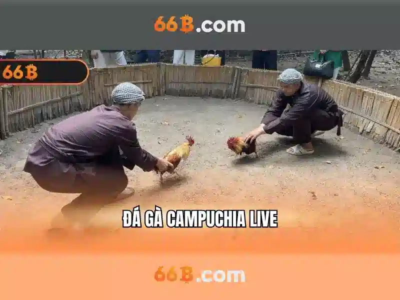 permatex 66b: giải pháp liên kết và sửa chữa tin cậy