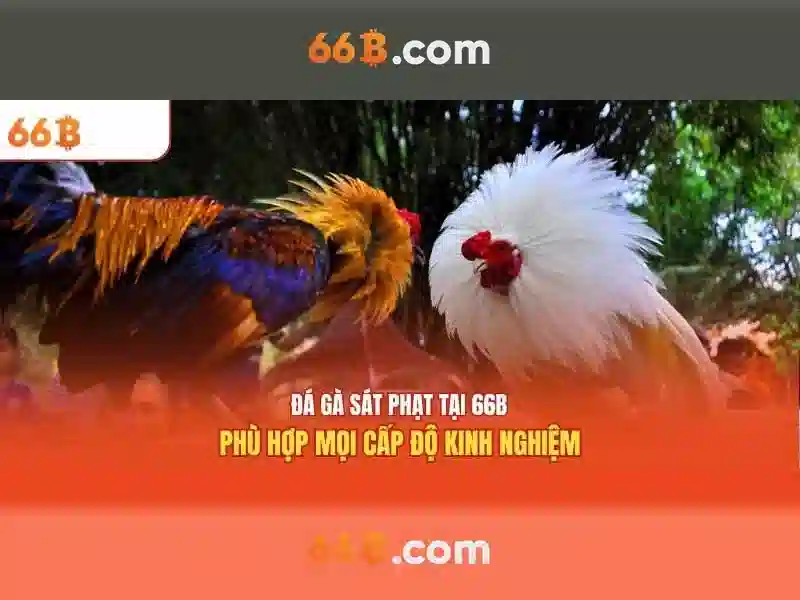 66B: một mô hình ngôn ngữ lớn với 66 tỷ tham số
