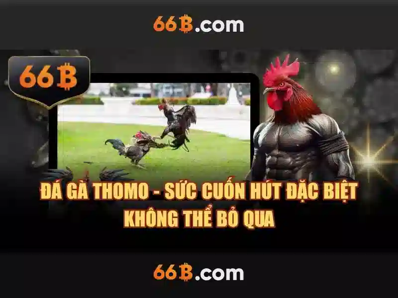 66b an toàn không – Trải nghiệm và đánh giá