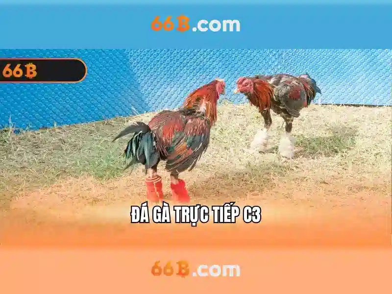 Bền vững và thách thức