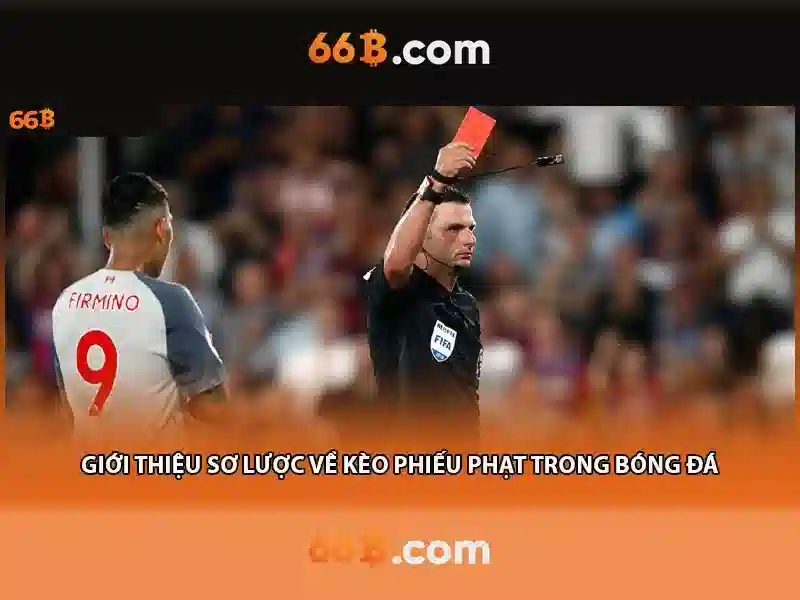 66b và những khía cạnh nổi bật