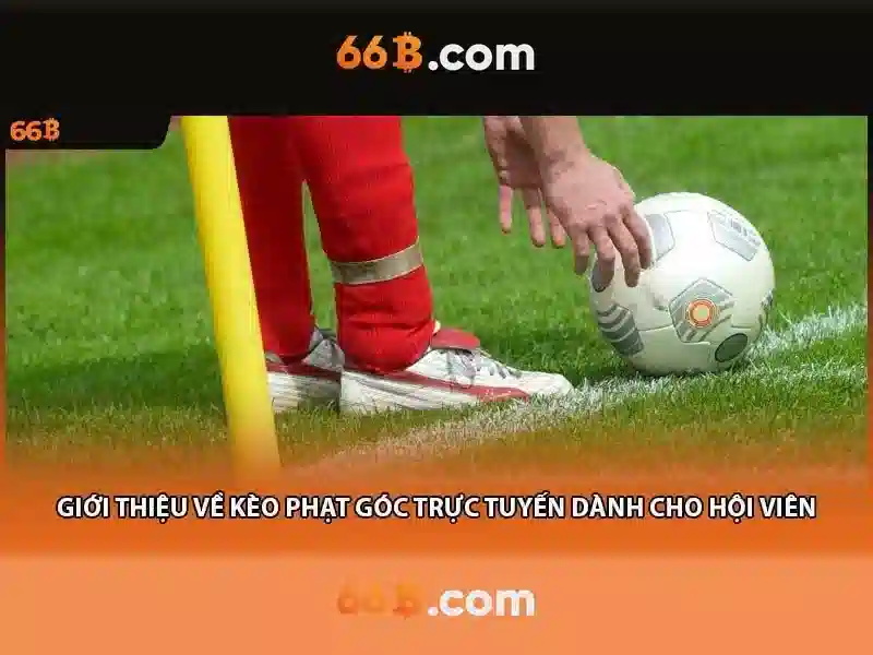 66B: một mô hình ngôn ngữ kích thước 66 tỉ tham số