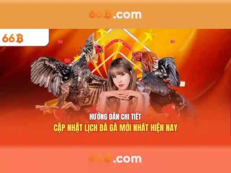 66b: Khía cạnh, ứng dụng và tiềm năng