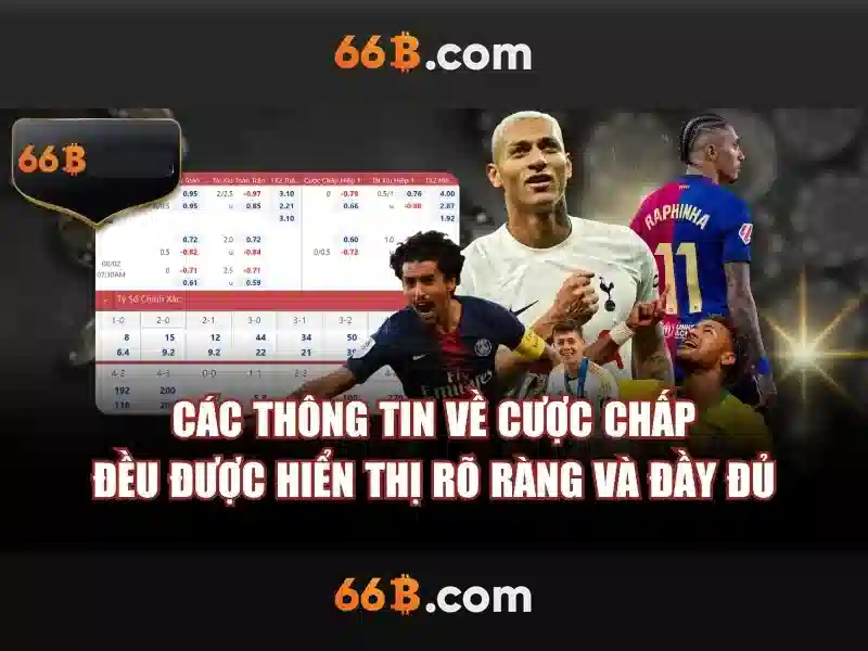 opt 66b – Tổng quan chủ đề và giá trị cốt lõi