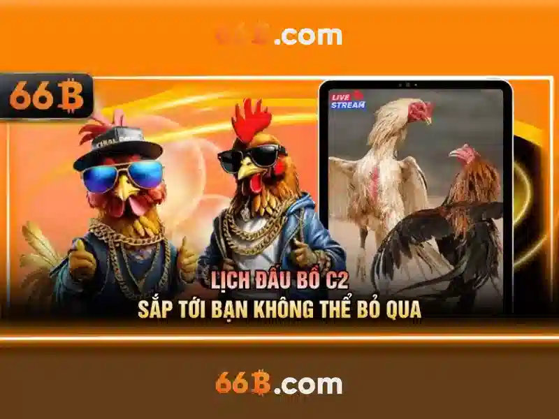 66B là gì và ứng dụng của nó trong trí tuệ nhân tạo