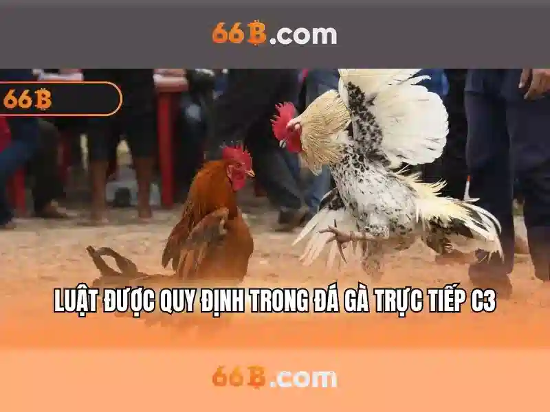 66B: Mô hình ngôn ngữ 66 tỷ tham số và ứng dụng của nó