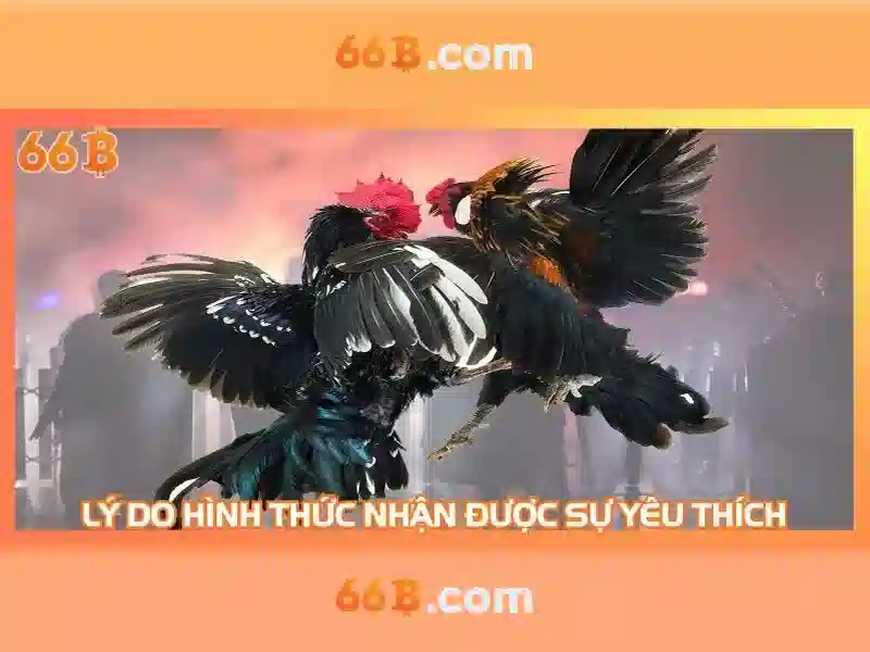 Nguồn gốc của 66B