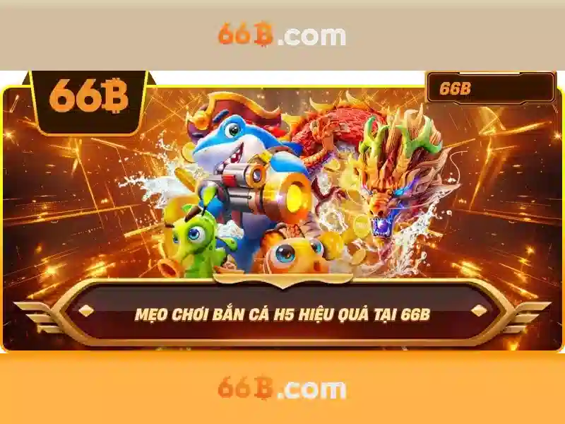 Phiên bản và kích thước