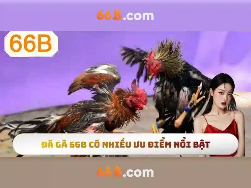 Ung dung cua 66B trong do thi doanh nghiep