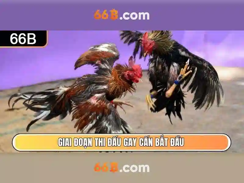 Mô hình 66B: Khám phá sức mạnh và thách thức