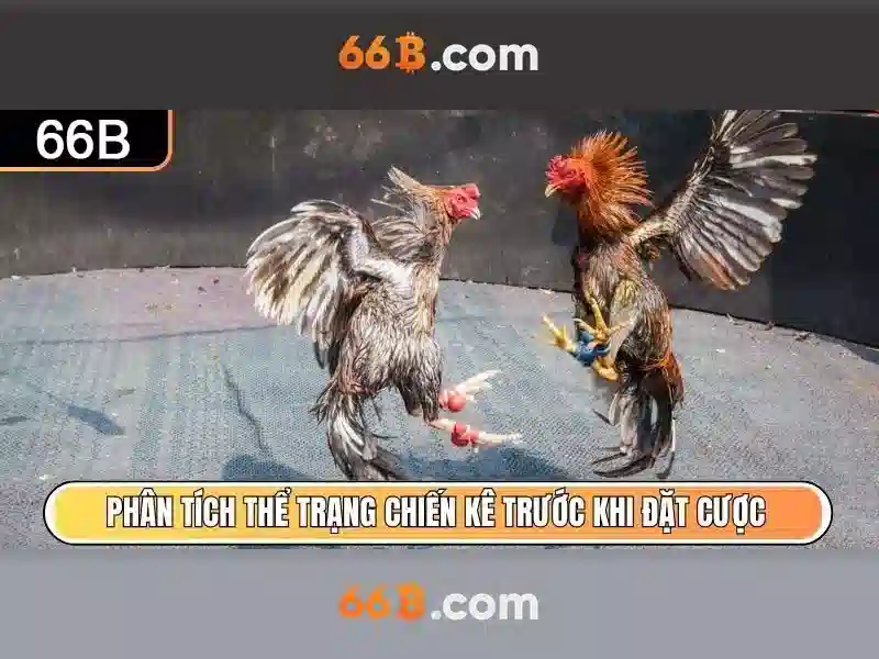 Kiến trúc và huấn luyện
