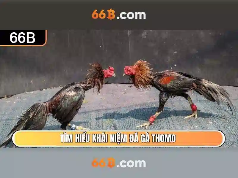 Kiến trúc và khả năng của 66b\n<h>Ứng dụng và thách thức của 66b trong thực tiễn</h>\n<li style=