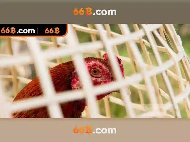 Ứng dụng thực tế và triển khai