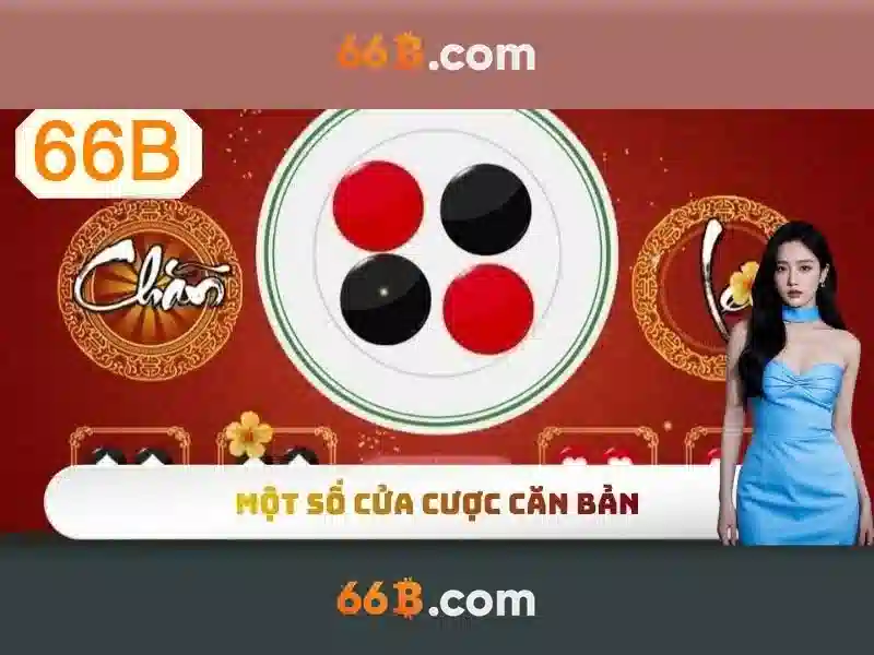 66B: Hiểu biết và ứng dụng