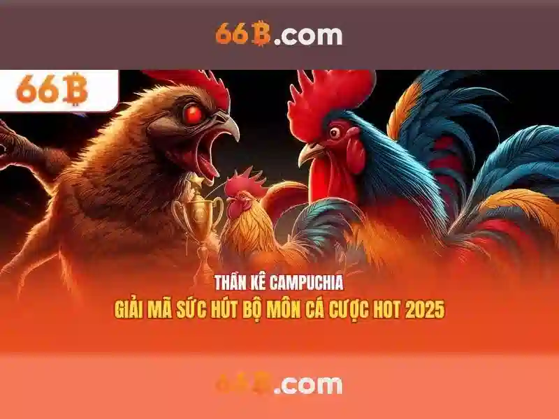 66b: một cái nhìn tổng quan và tiềm năng