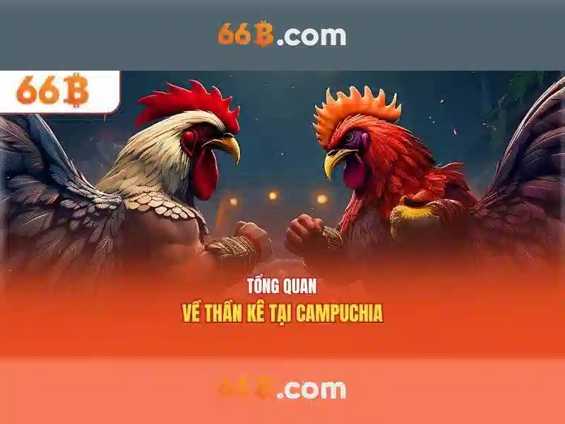 Kết luận và triển vọng tương lai