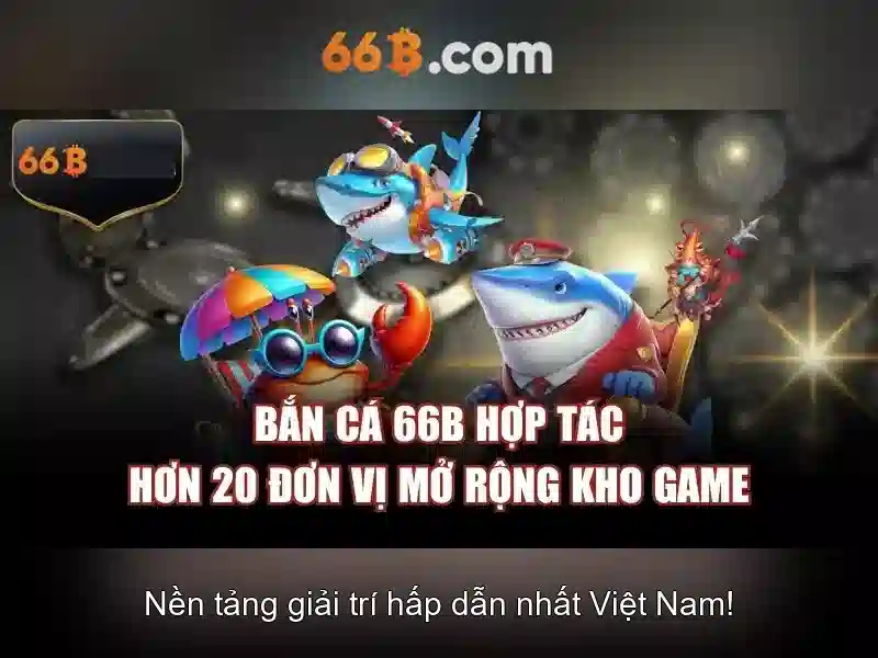 66b: Những khía cạnh và ứng dụng