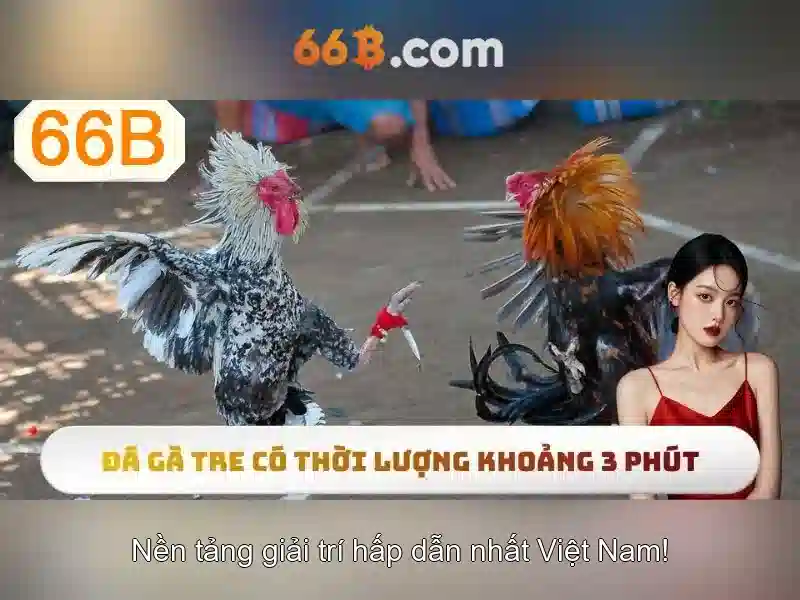 66B: Khám phá mô hình ngôn ngữ lớn 66B