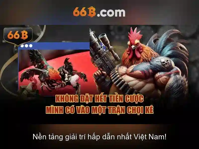 66b: Khái niệm, ứng dụng và ý nghĩa trong công nghệ hiện đại