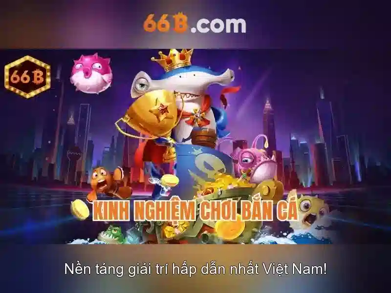 Tương lai của 66B và các thách thức
