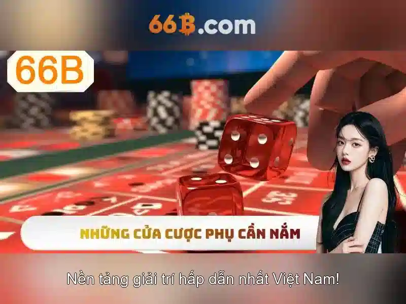 66b an toàn không – Tổng quan
