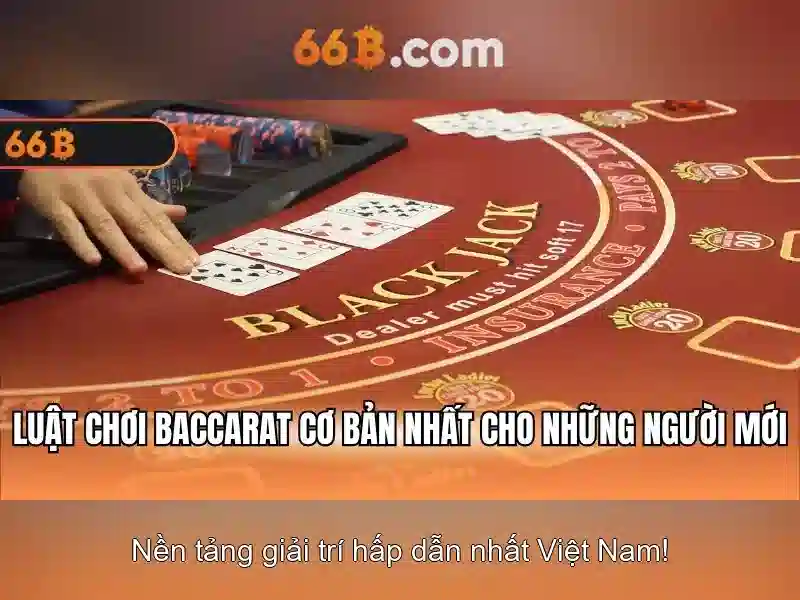 66b là gì? - Khám phá