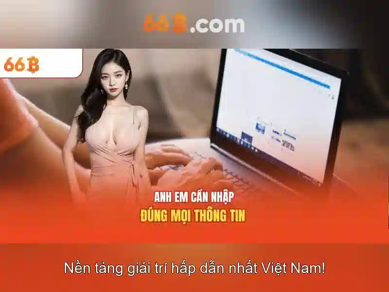 66b là gì? một khái niệm và ứng dụng