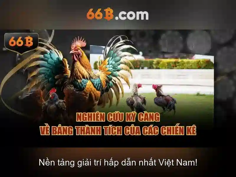 66b là gì và tác động của nó trong công nghệ ngôn ngữ