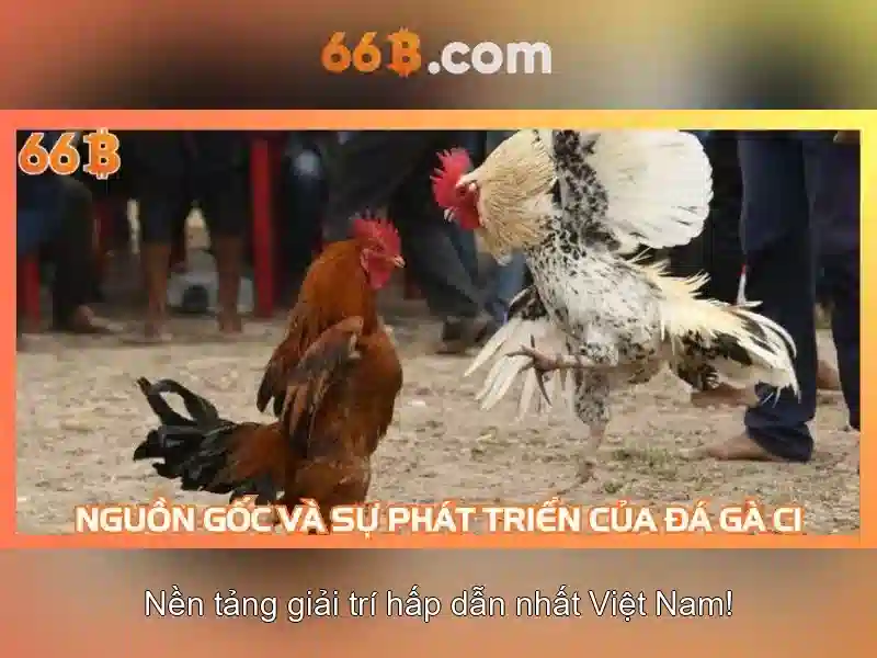 Hiệu suất và giới hạn