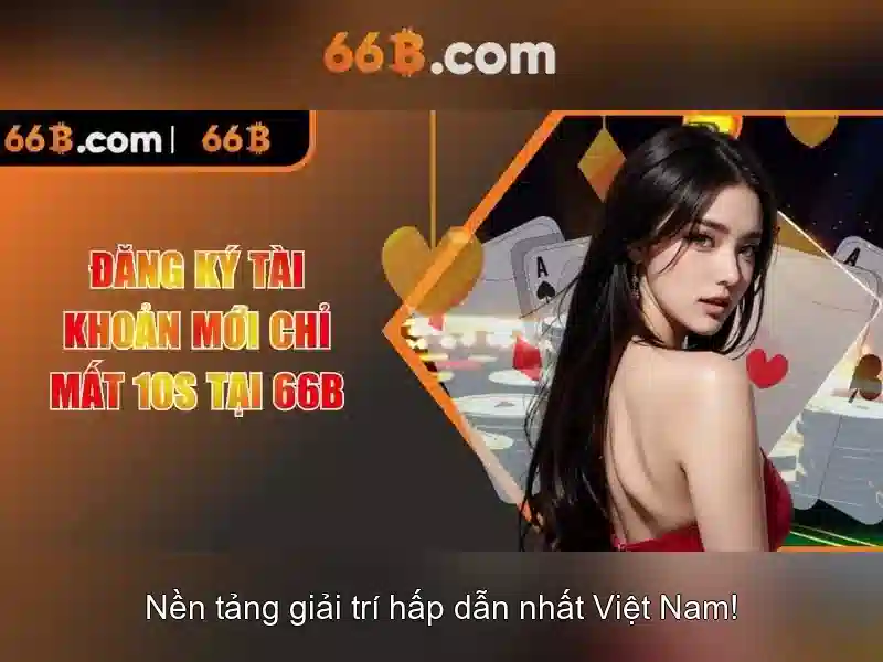 66b: một cái nhìn tổng quan