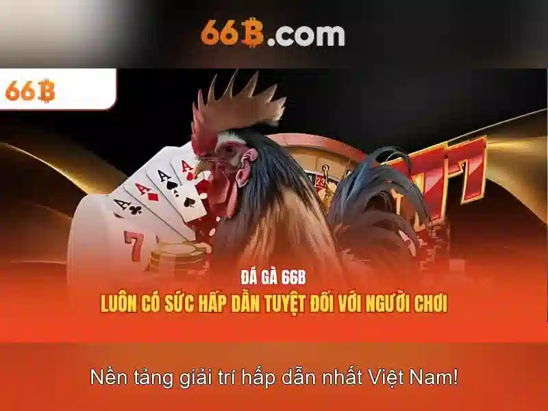 Giới thiệu về 66b