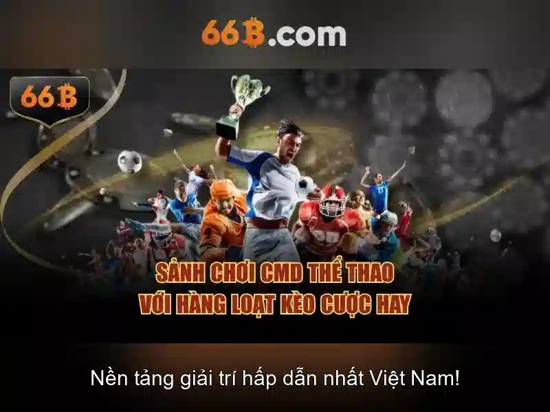 66B: Một cái nhìn tổng quan