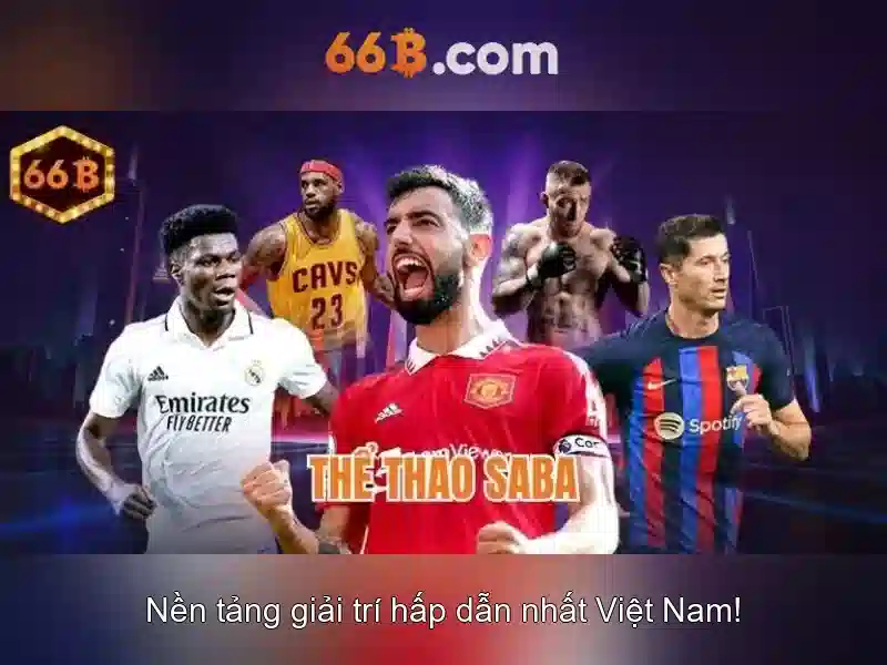 66b: Khám phá một khái niệm đặc biệt