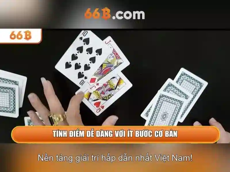 Kết luận